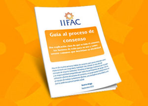 Guía al Proceso de Consenso